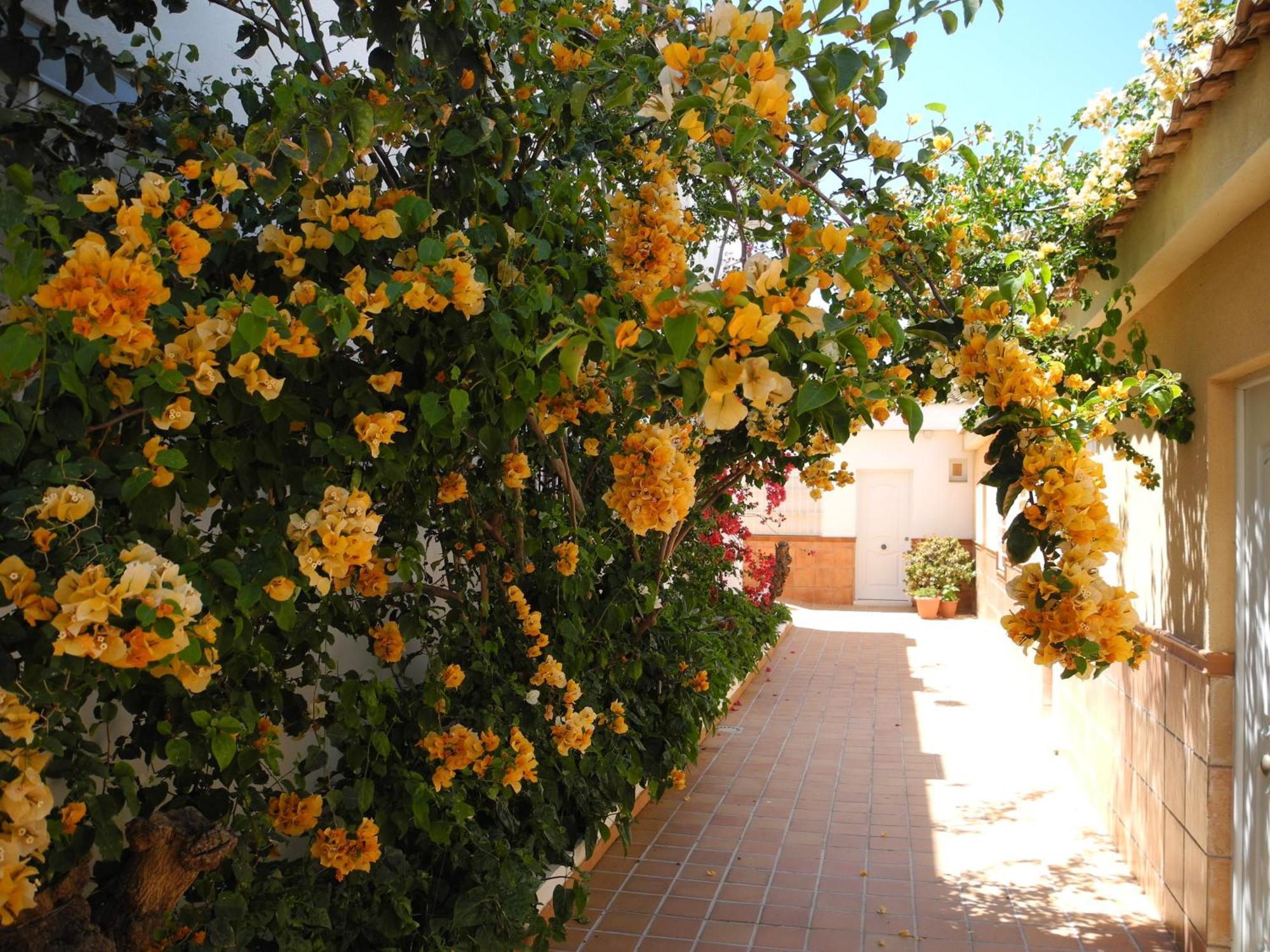 Punta Umbría Hostal Playa מראה חיצוני תמונה